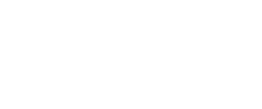 B1NARY H0RDE